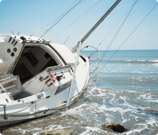 Schermata 2024-01-19 alle 11.57 1 (1)