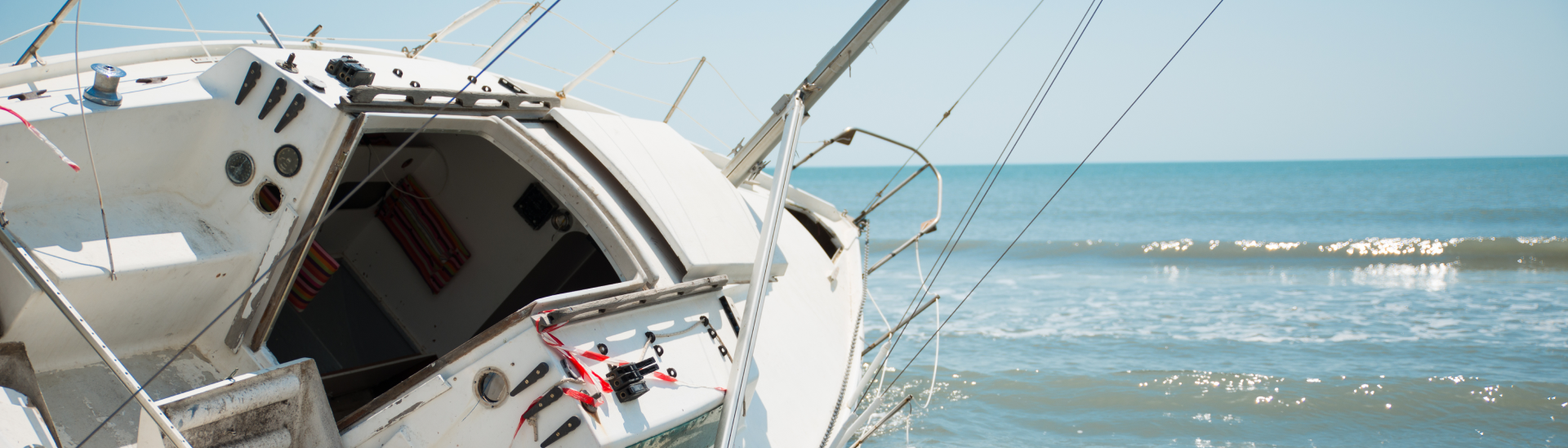 Schermata 2024-01-19 alle 11.57 1