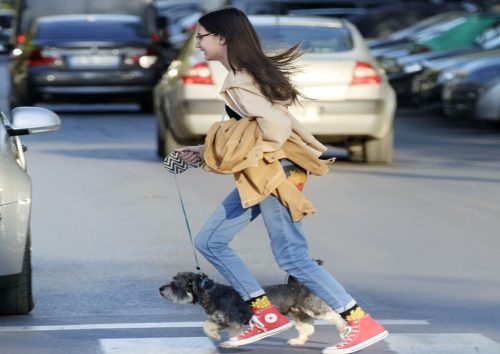 Studio-Legale-Menghetti-Danni-Al-Pedone