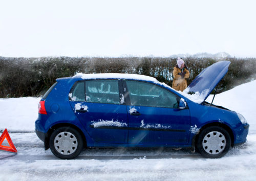 incidente con animali selvatici su strada innevata