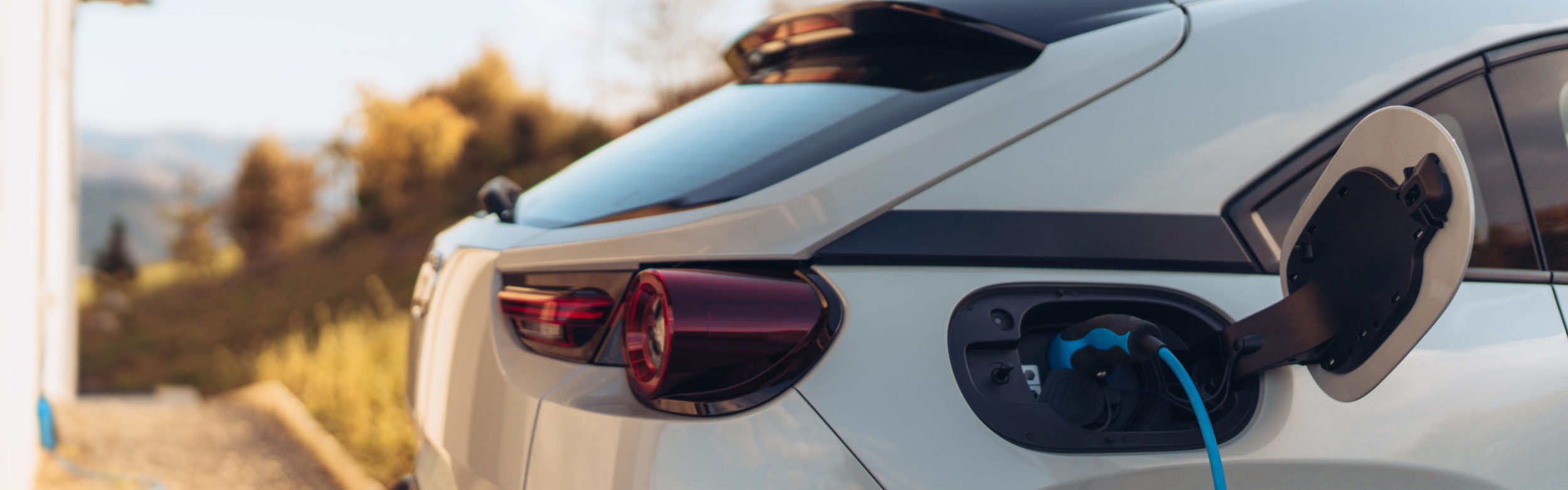 Incidente stradale veicolo elettrico